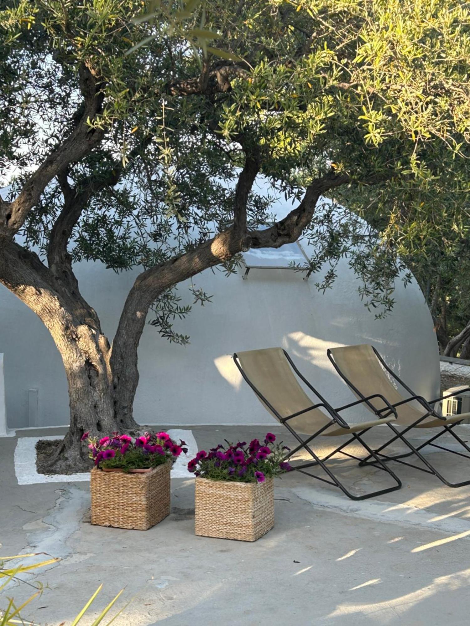 Residence Guidaloca Scopello (Sicily) Exterior foto